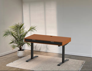 The Slim PLY // Modern wood standing desk with drawers