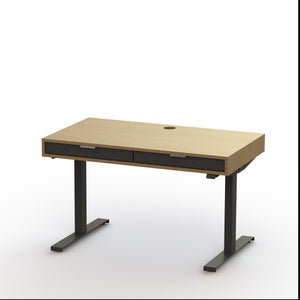 The Slim PLY // Modern wood standing desk with drawers