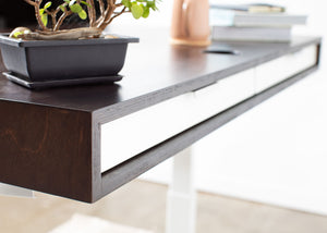 The Slim PLY // Modern wood standing desk with drawers