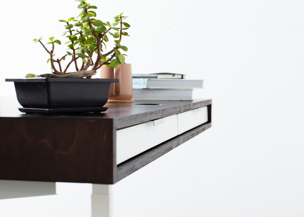 The Slim PLY // Modern wood standing desk with drawers