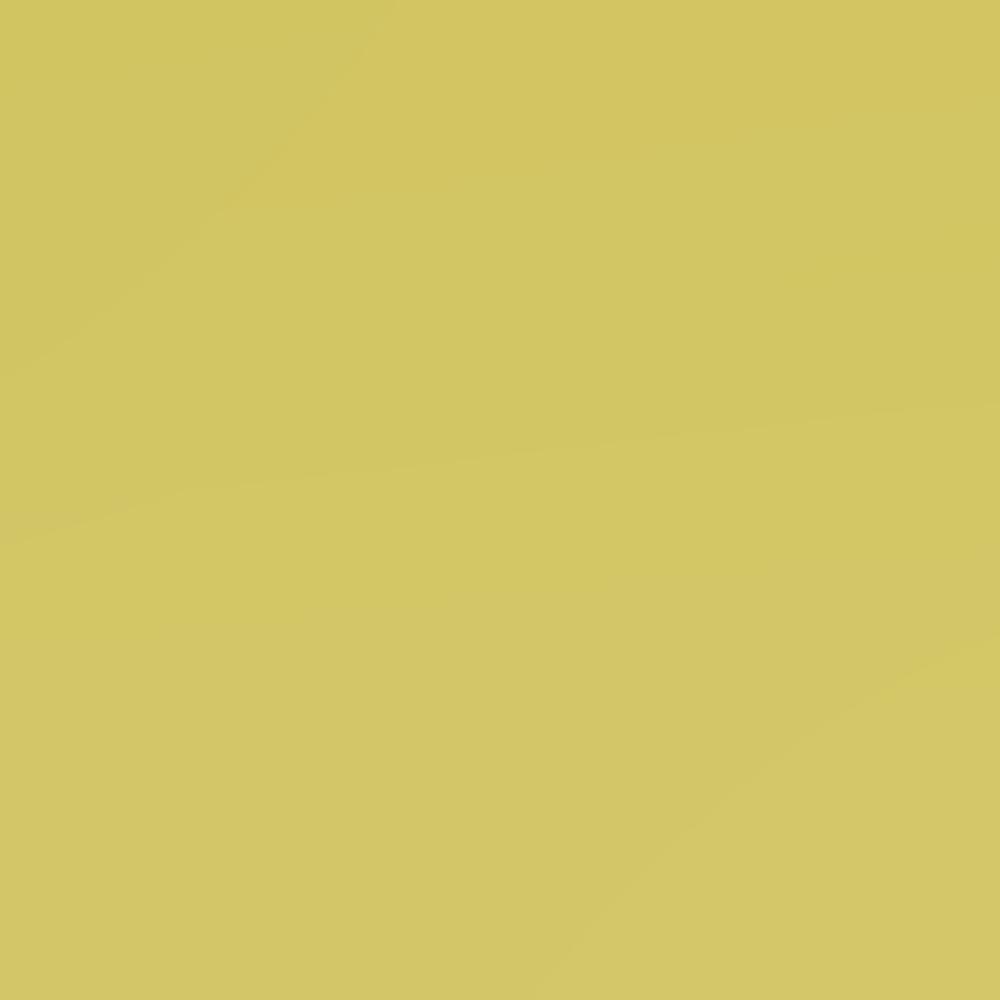 Chartreuse Paint - ROMI DESIGN