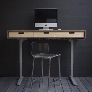The Evolve - Electric Adjustable Standing Desk - Midcentury Modern Office Desk