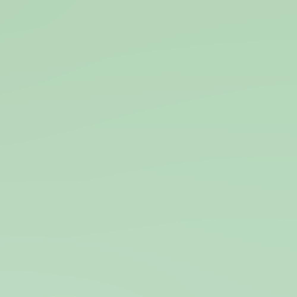 Mint Paint - ROMI DESIGN